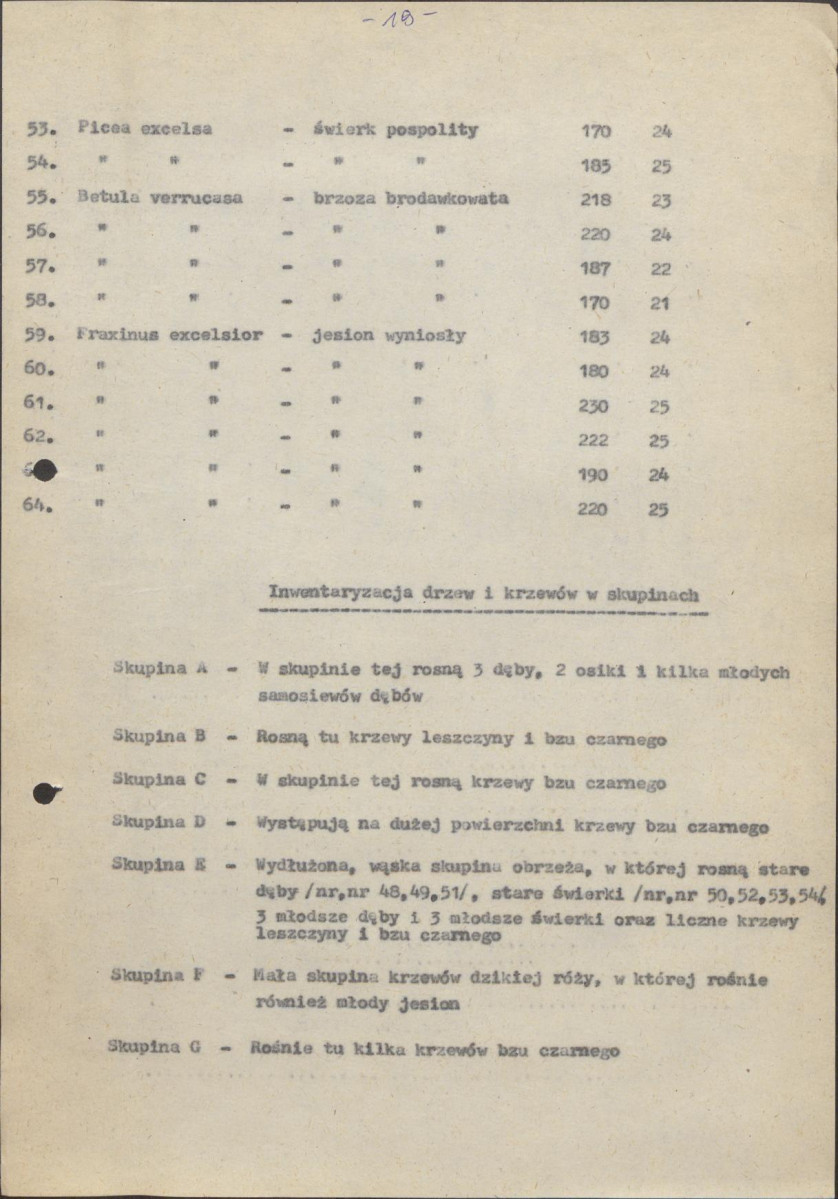 Ewidencja parkowa, skan nr 22