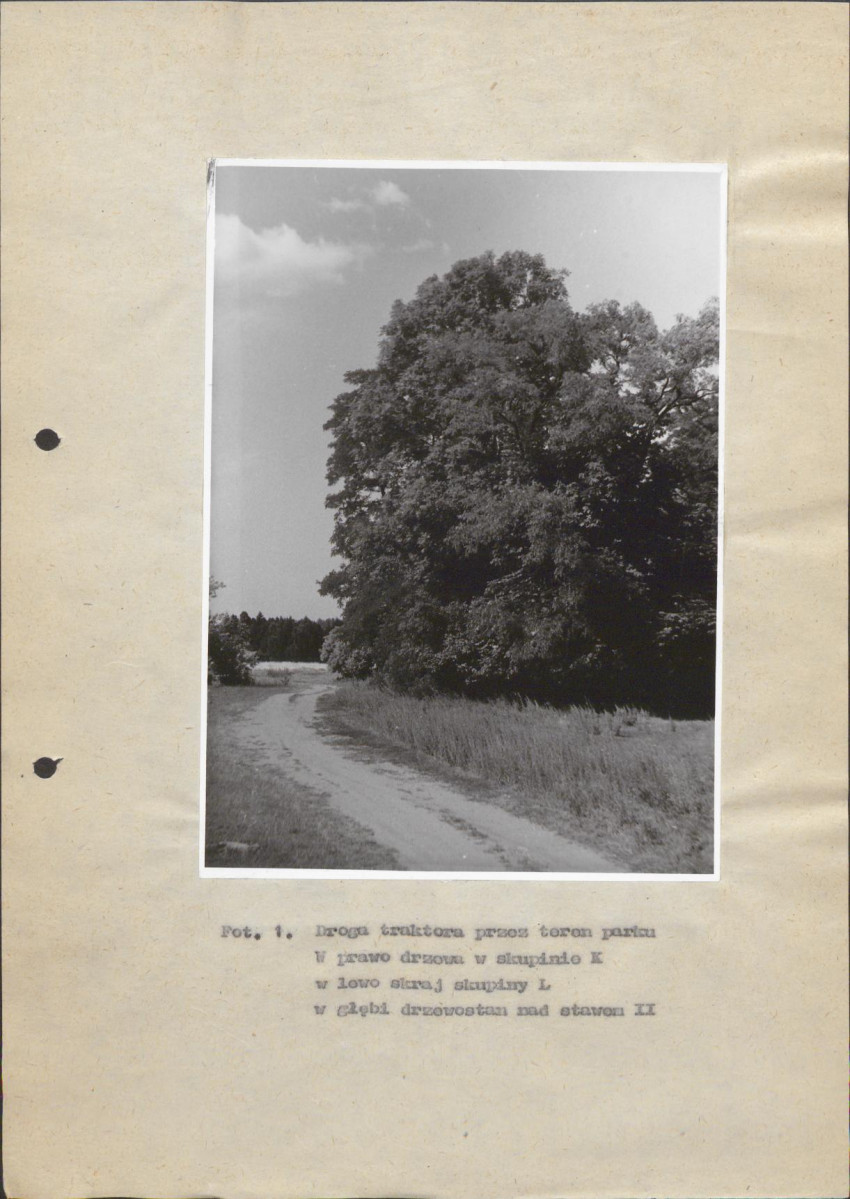Ewidencja parkowa, skan nr 31