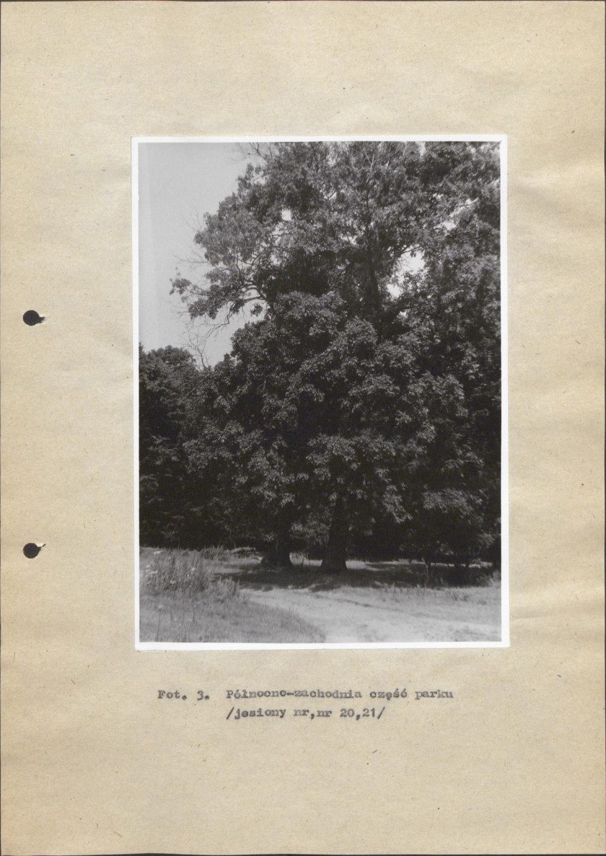 Ewidencja parkowa, skan nr 33