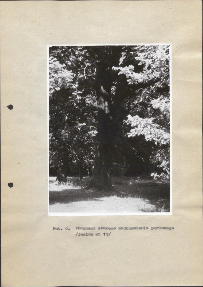 Ewidencja parkowa, skan nr 36