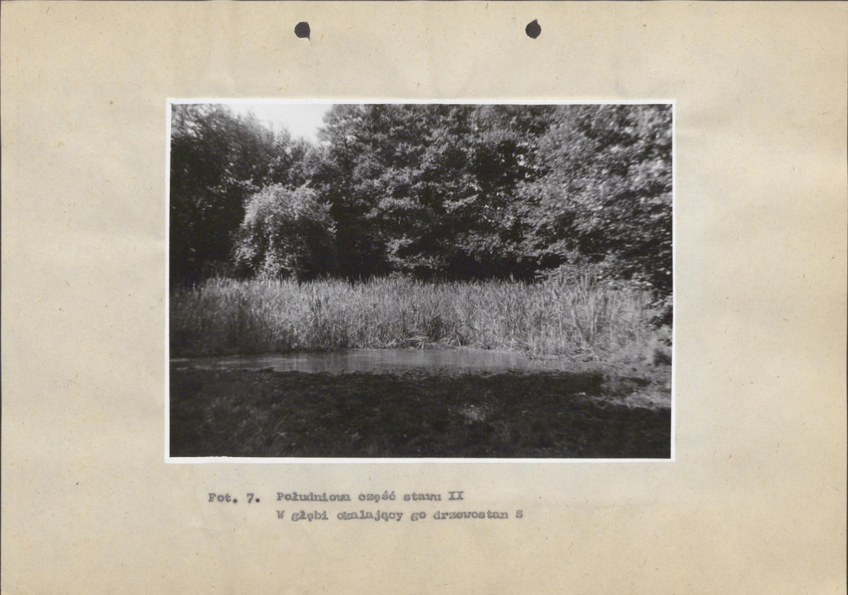 Ewidencja parkowa, skan nr 37