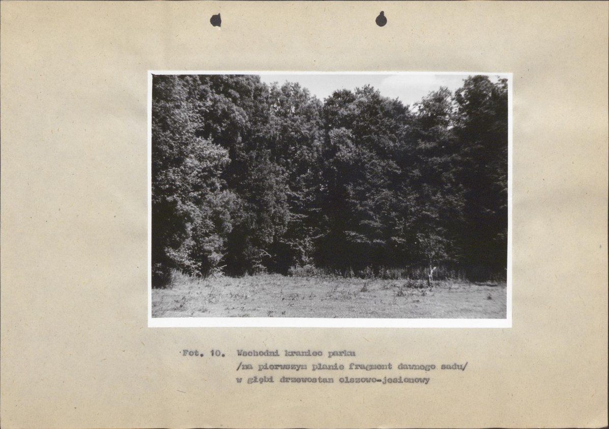 Ewidencja parkowa, skan nr 40