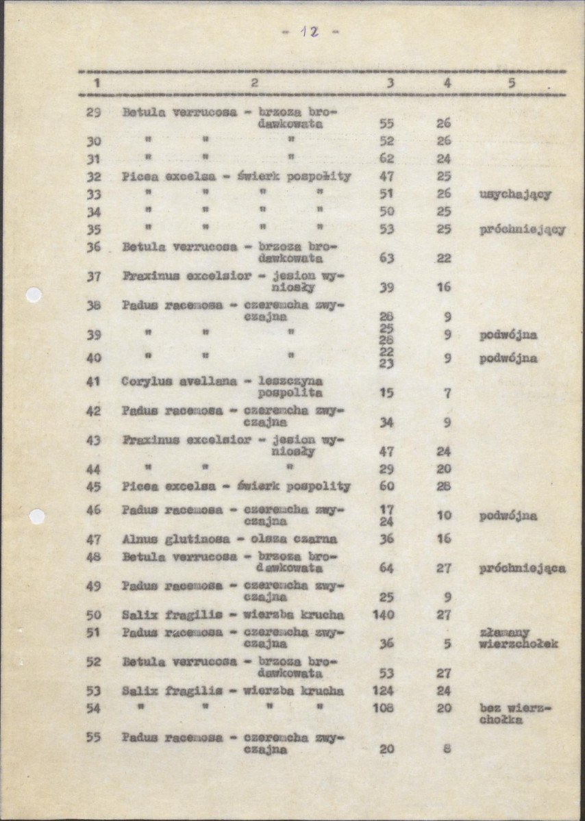 EP - Ewidencja parkowa, skan nr 17