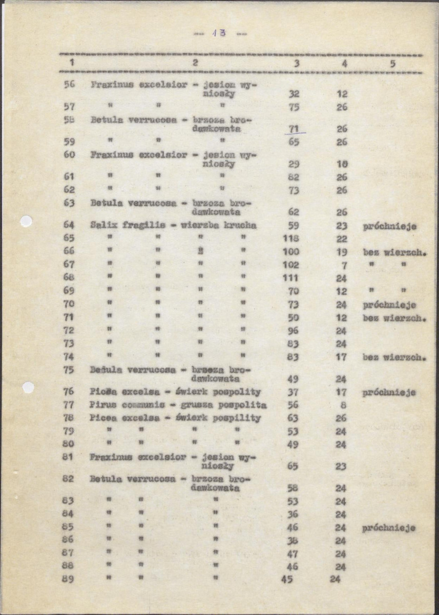 EP - Ewidencja parkowa, skan nr 18
