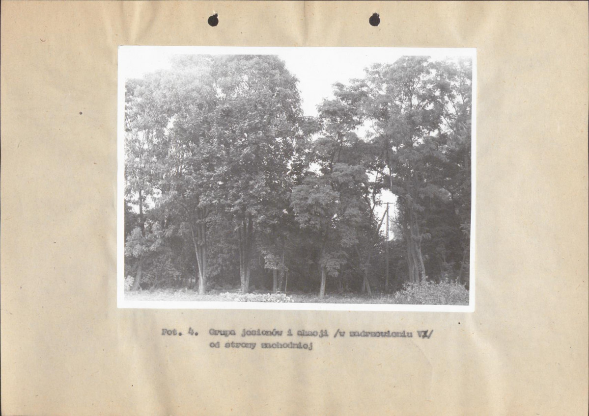 Ewidencja parkowa, skan nr 40