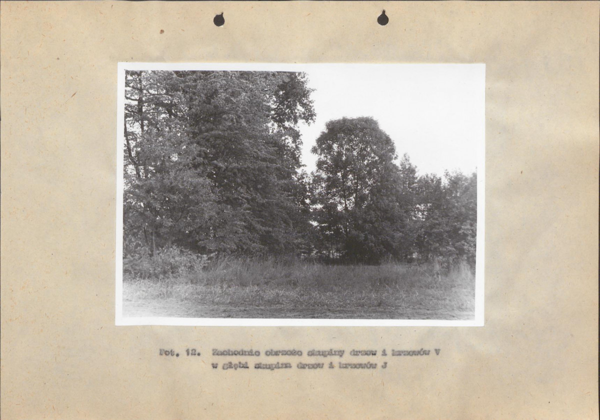 Ewidencja parkowa, skan nr 48