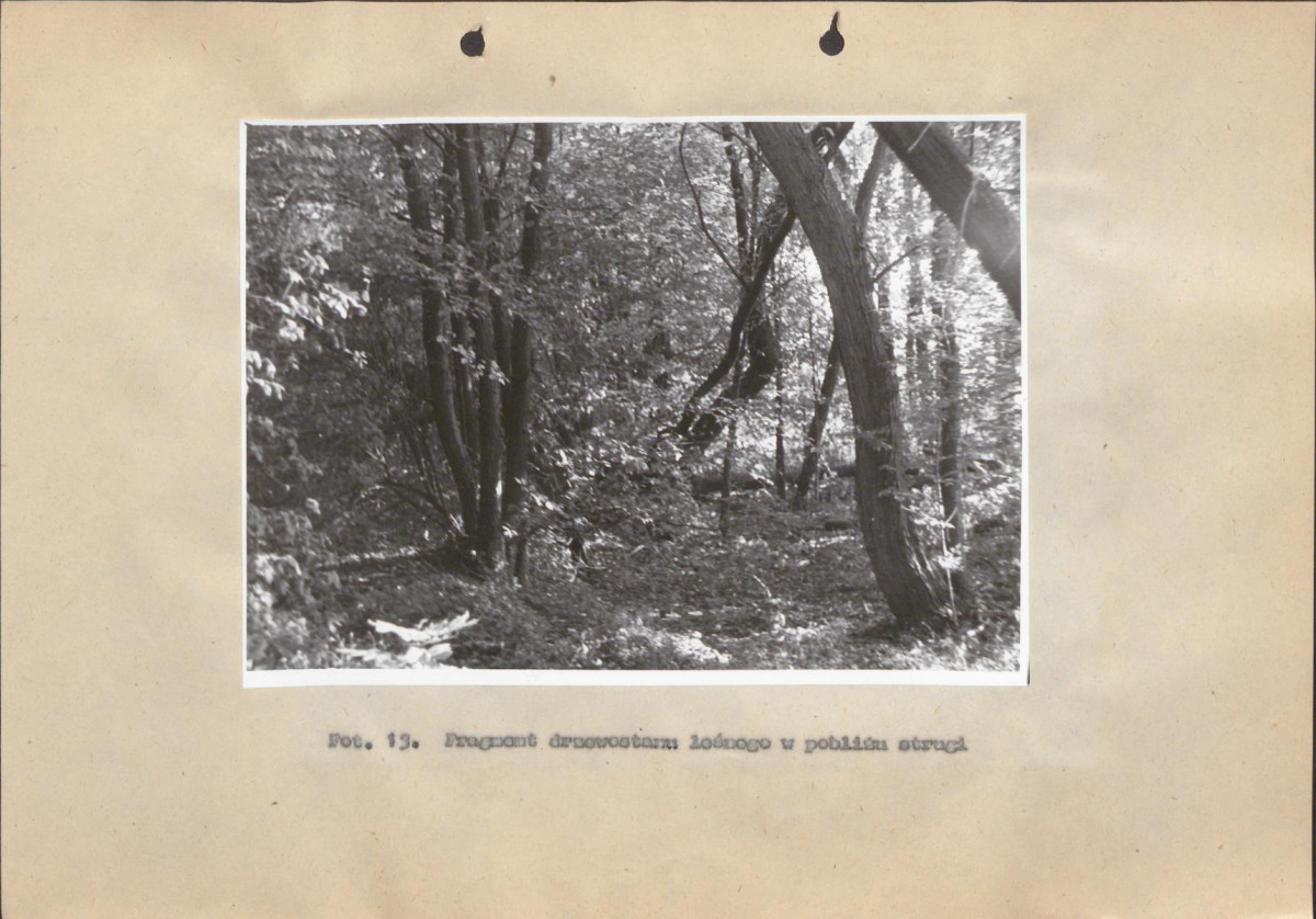 Ewidencja parkowa, skan nr 49