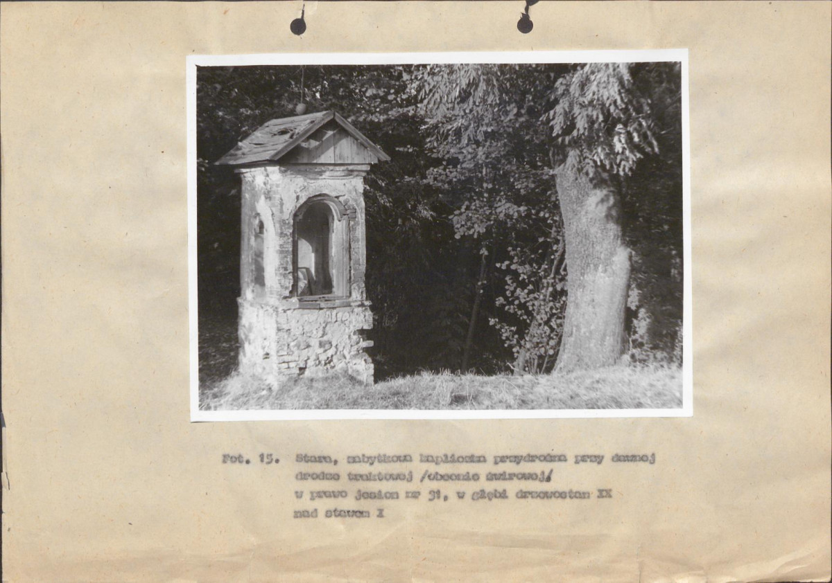 Ewidencja parkowa, skan nr 51