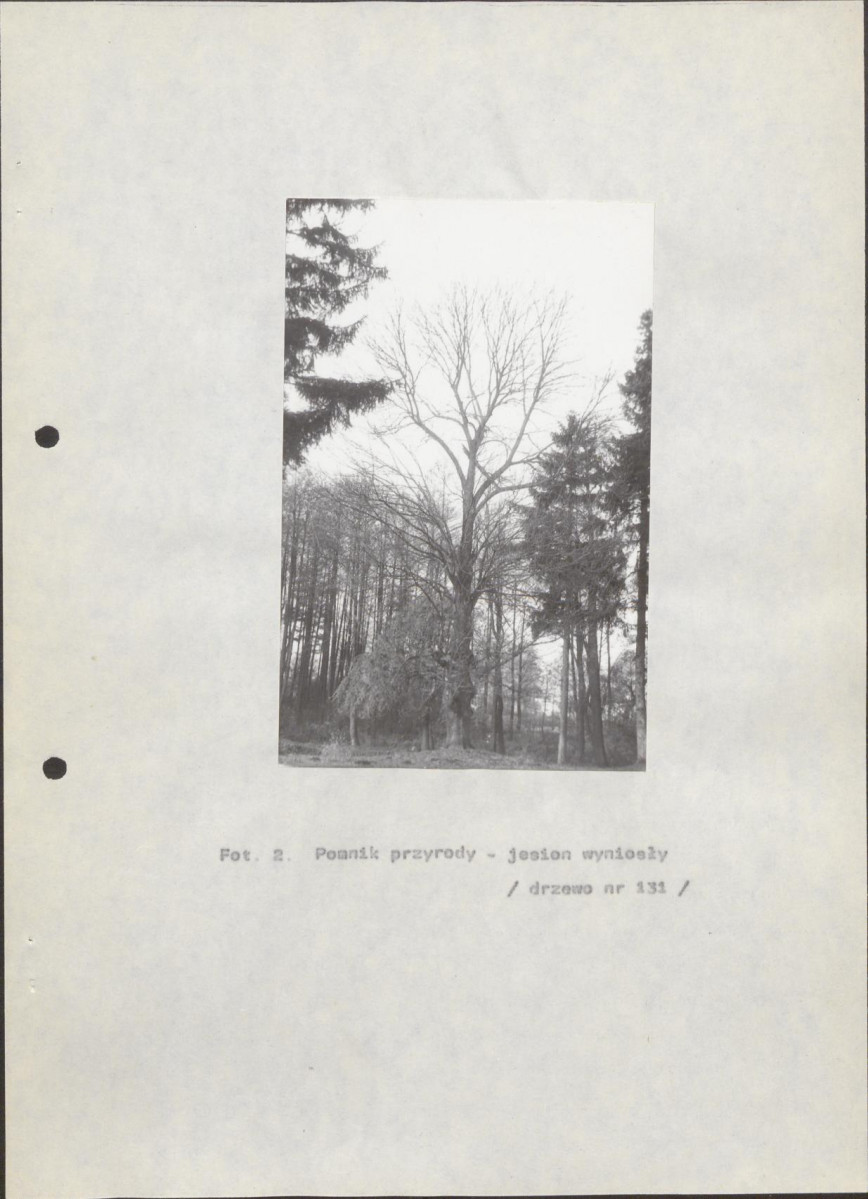 EP - Ewidencja parkowa, skan nr 32