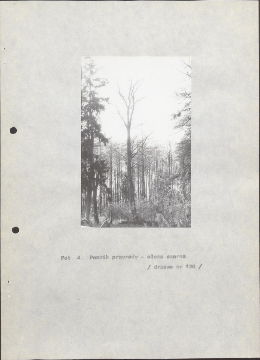 EP - Ewidencja parkowa, skan nr 34