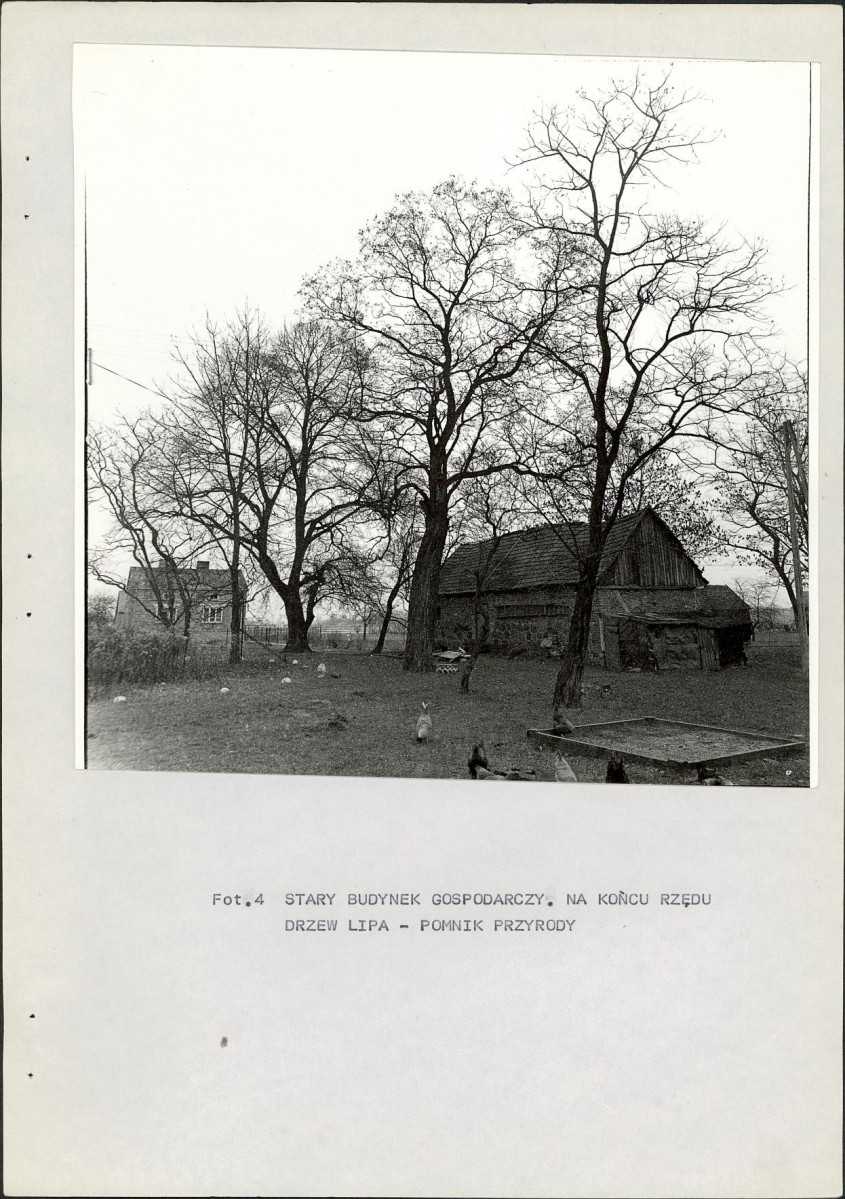 Ewidencja parkowa, skan nr 18