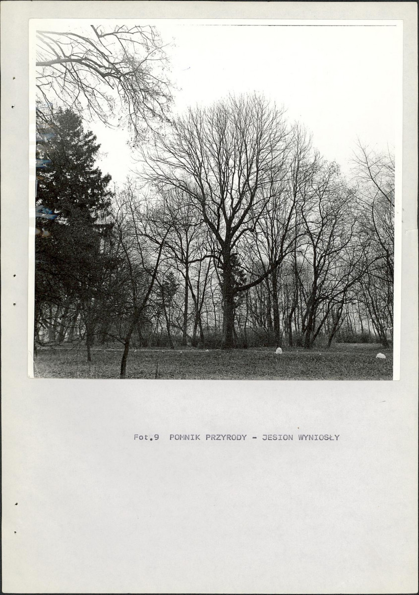 Ewidencja parkowa, skan nr 23