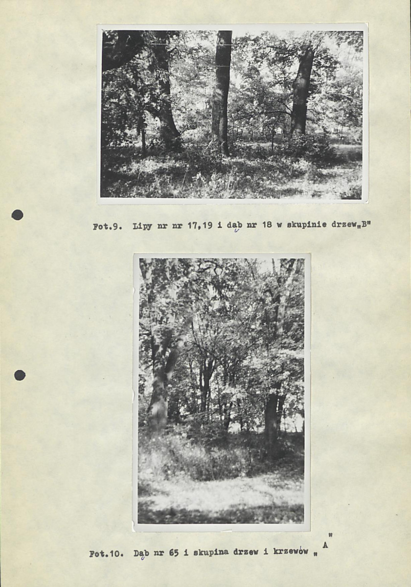 EP - Ewidencja parkowa, skan nr 38