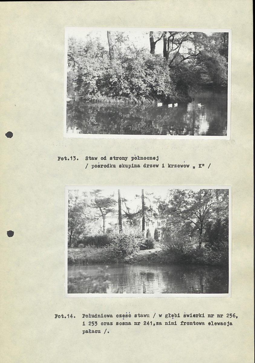 EP - Ewidencja parkowa, skan nr 40