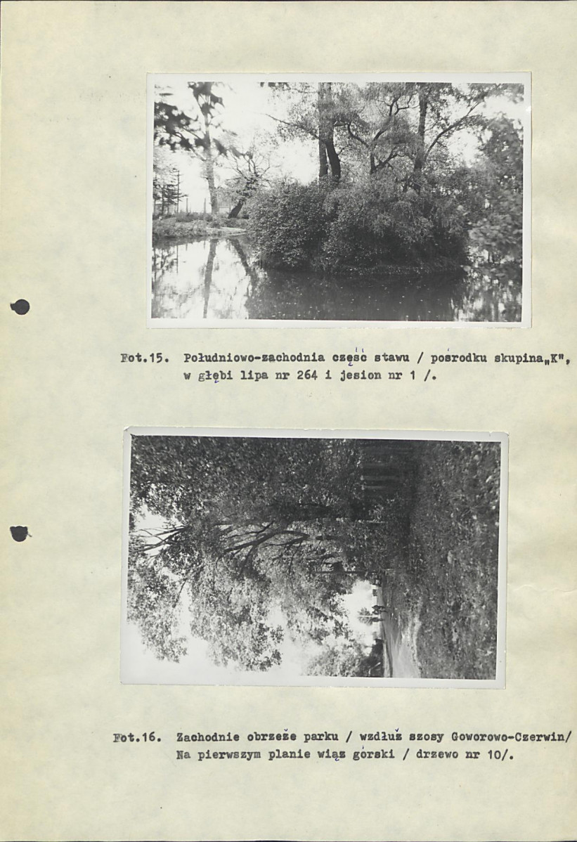 EP - Ewidencja parkowa, skan nr 41