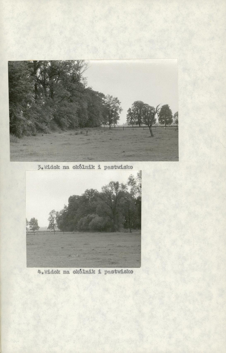 Ewidencja parkowa, skan nr 21