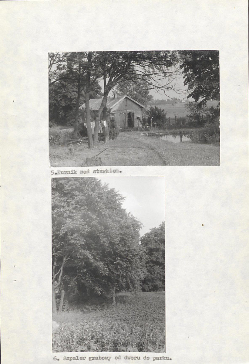 Ewidencja parkowa, skan nr 22