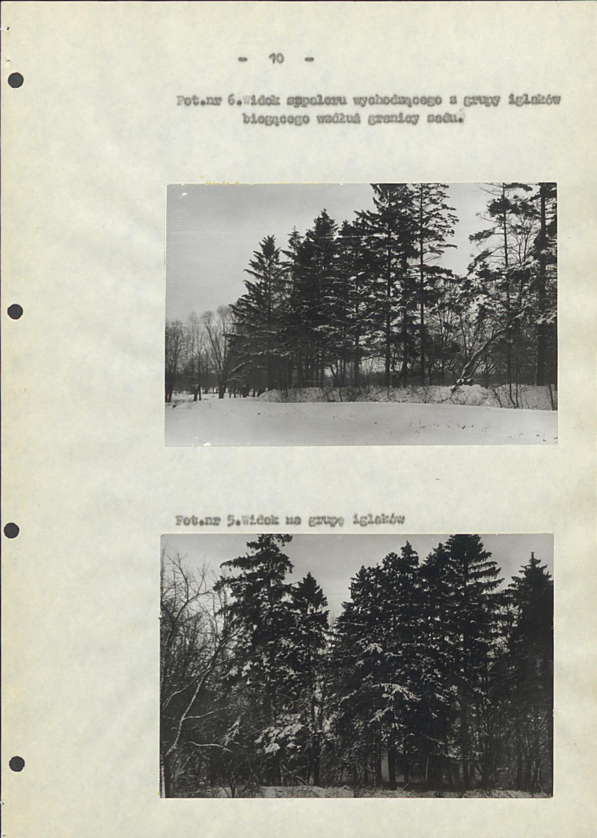 EP - Ewidencja parkowa, skan nr 17