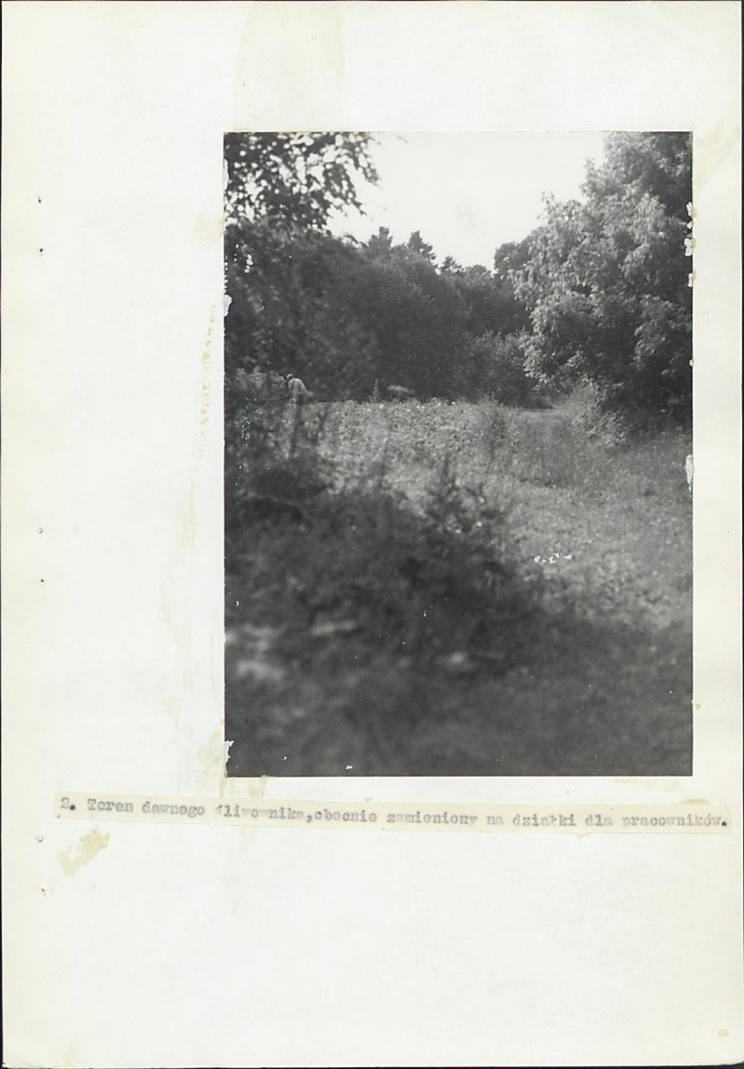 Ewidencja parkowa, skan nr 27