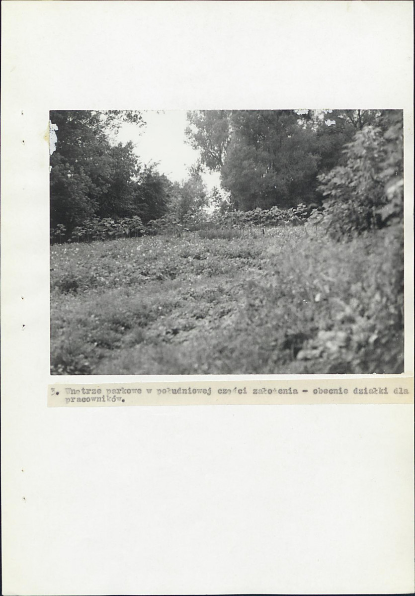 Ewidencja parkowa, skan nr 28