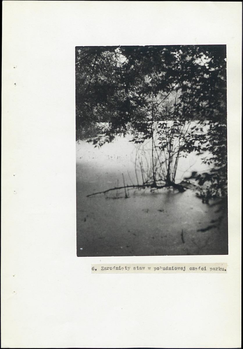 Ewidencja parkowa, skan nr 31
