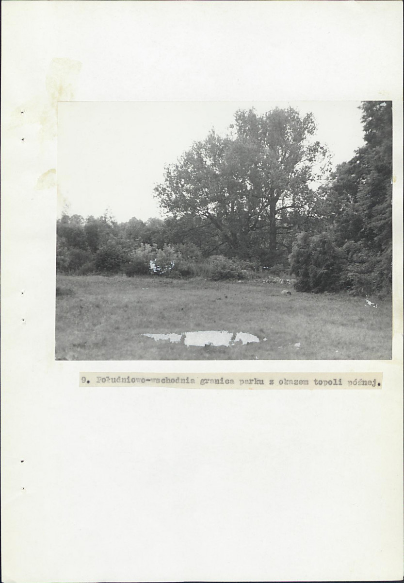 Ewidencja parkowa, skan nr 34