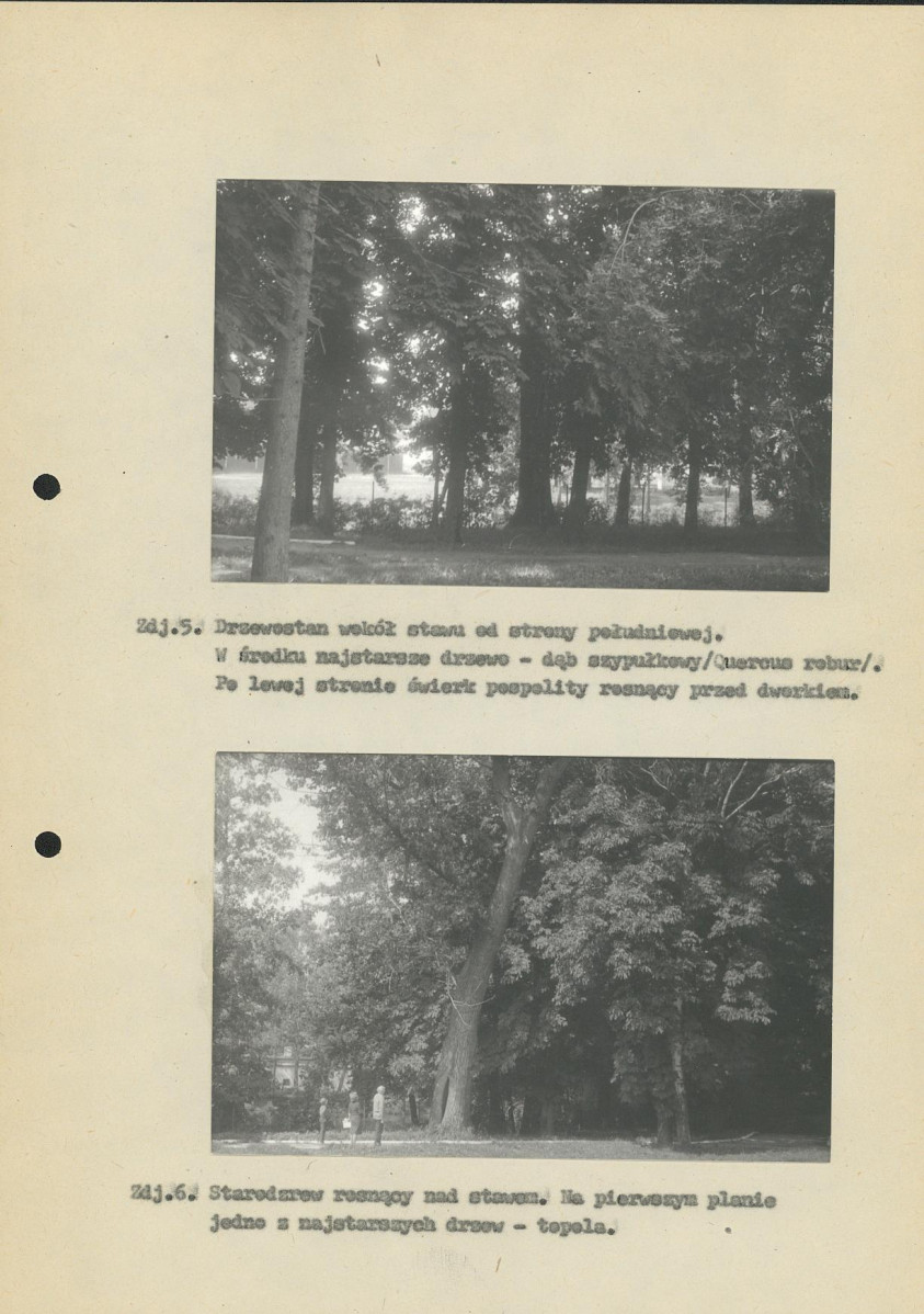 Ewidencja parkowa, skan nr 25