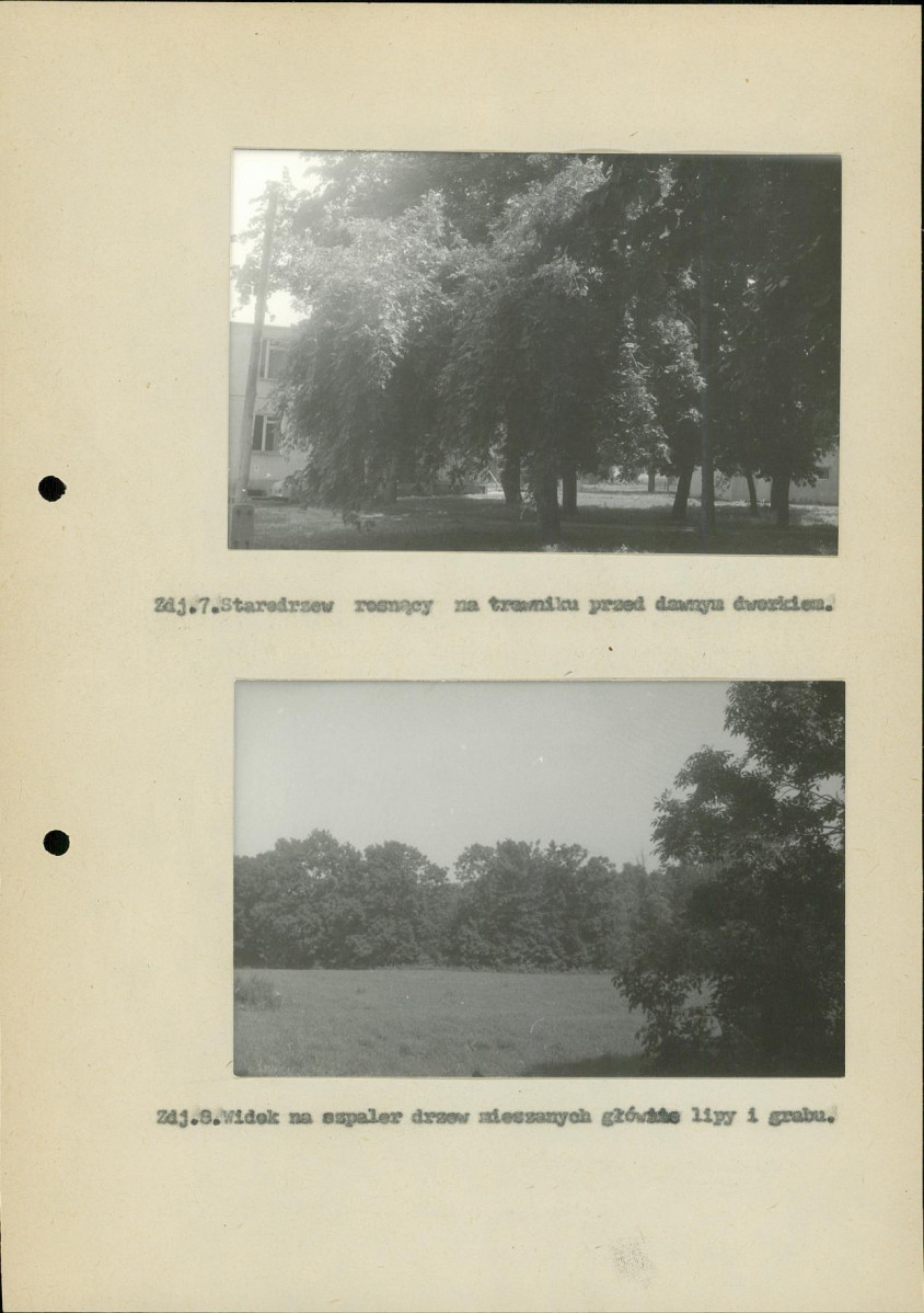 Ewidencja parkowa, skan nr 26