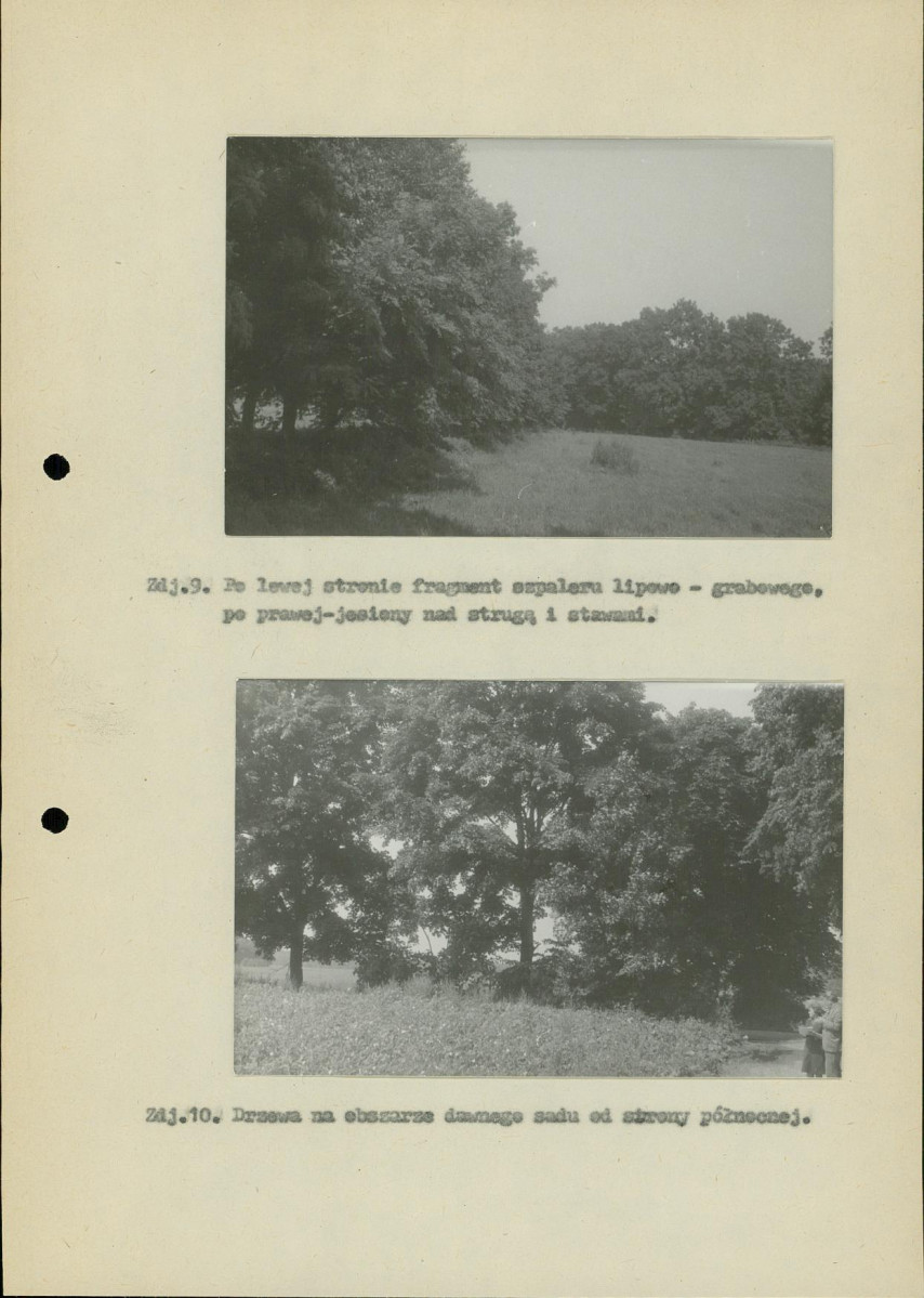Ewidencja parkowa, skan nr 27