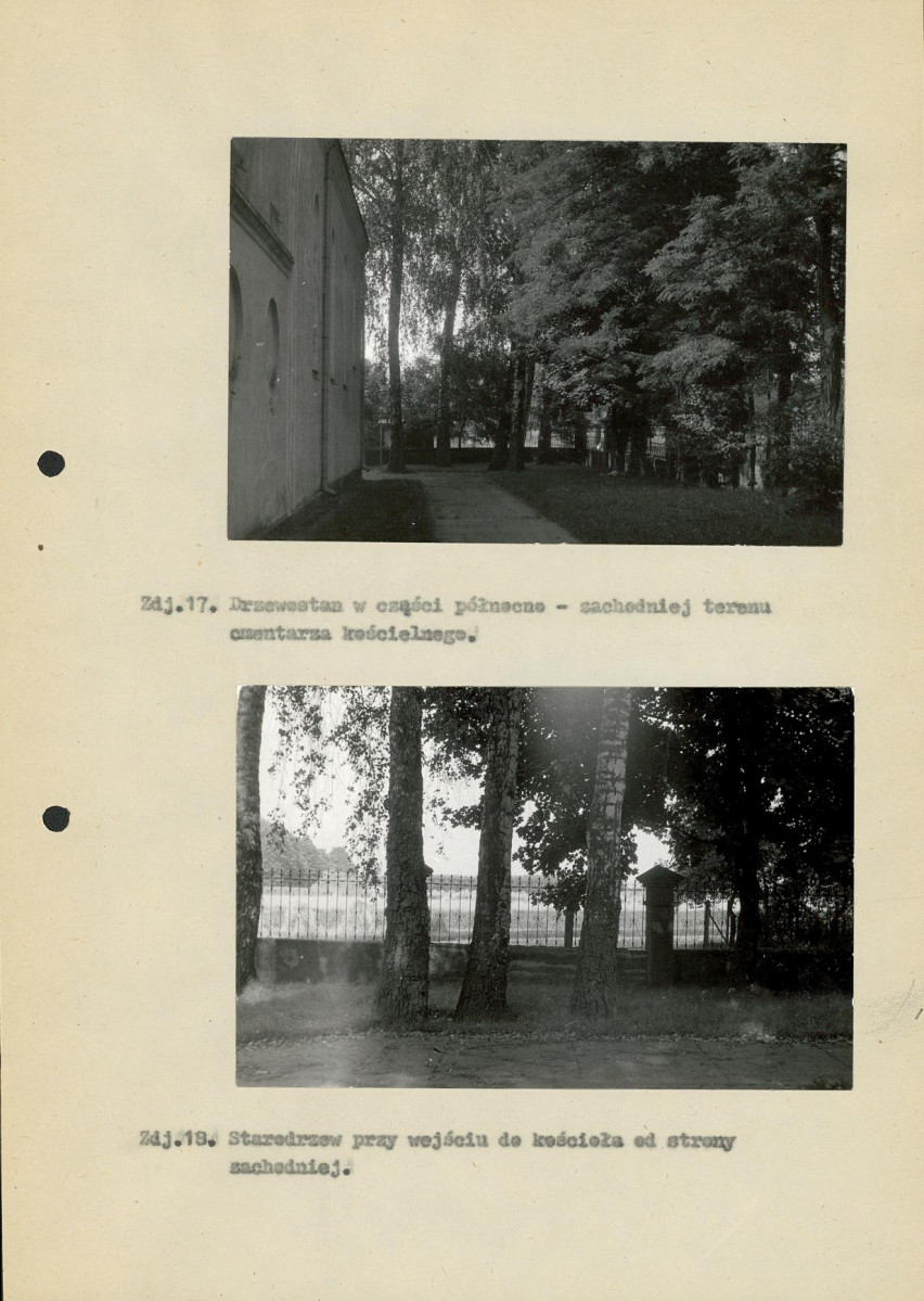 Ewidencja parkowa, skan nr 31