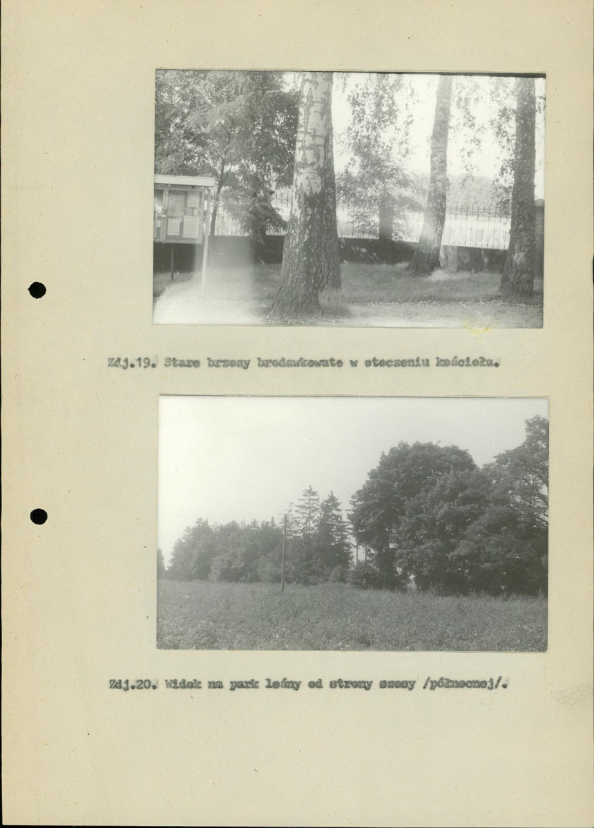 Ewidencja parkowa, skan nr 32