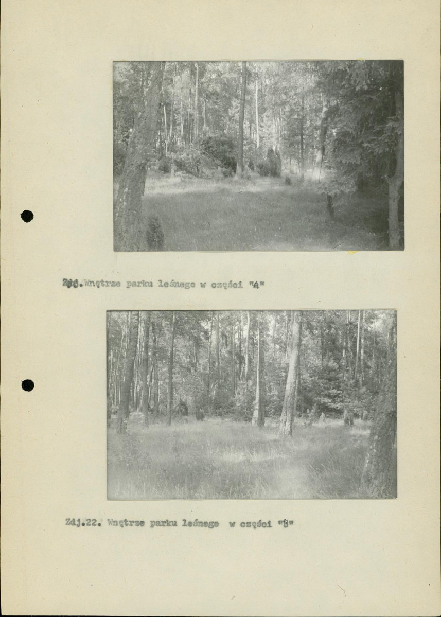Ewidencja parkowa, skan nr 33
