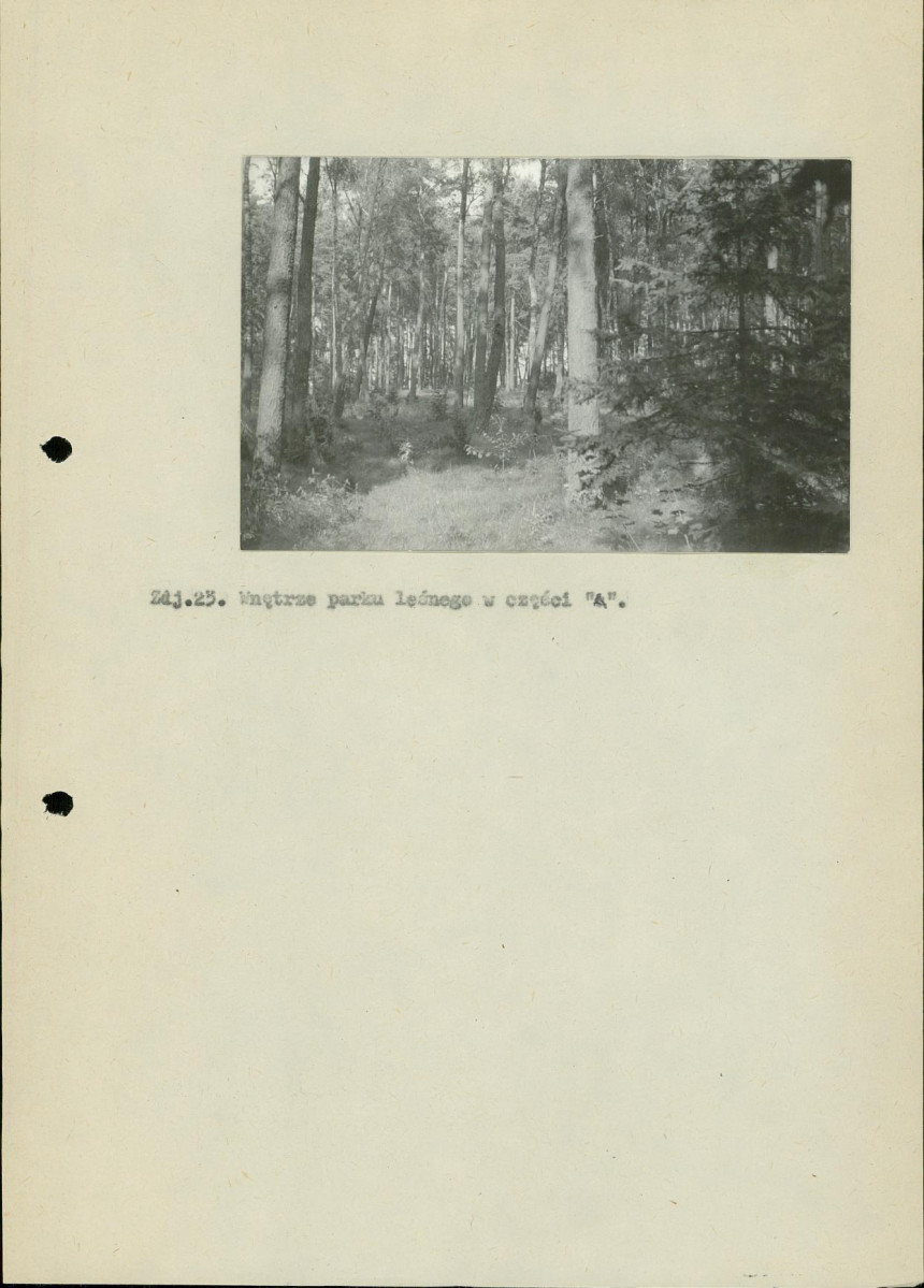 Ewidencja parkowa, skan nr 34