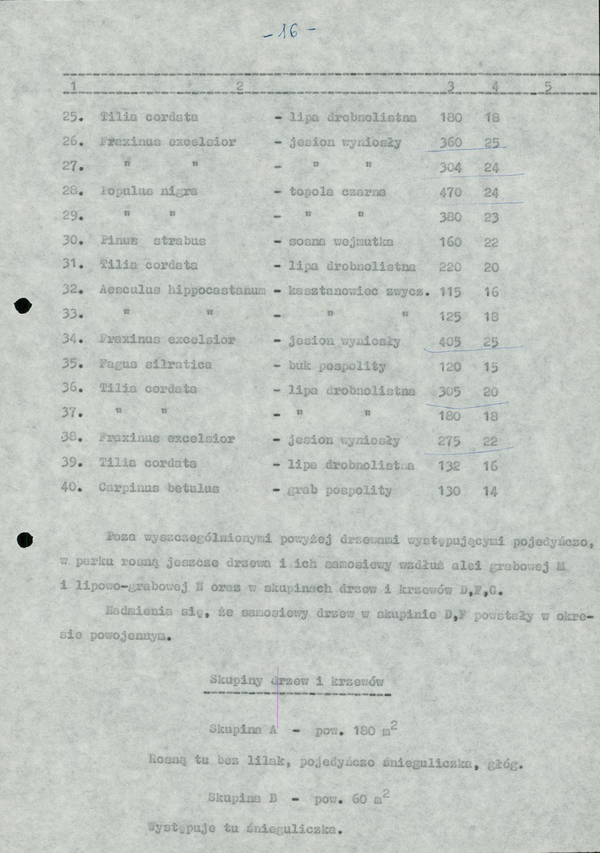 Ewidencja parkowa, skan nr 19