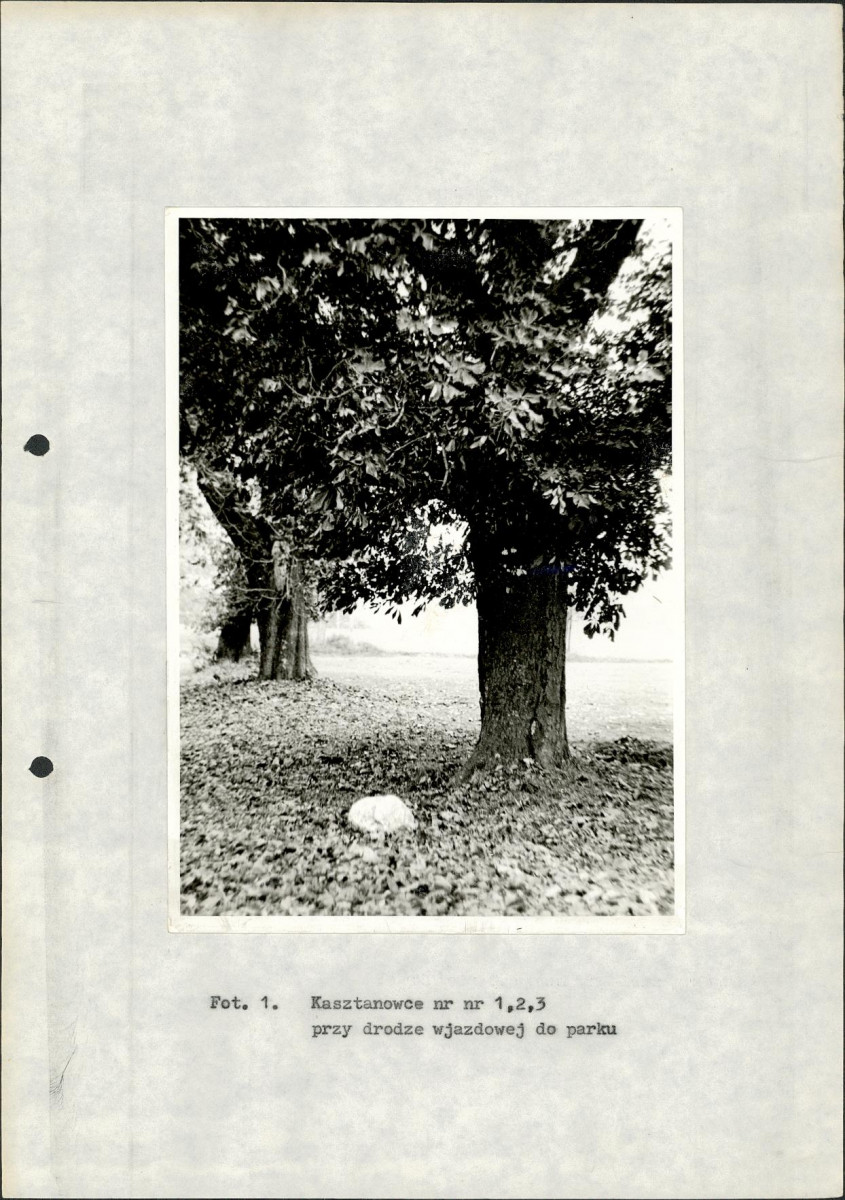 Ewidencja parkowa, skan nr 26