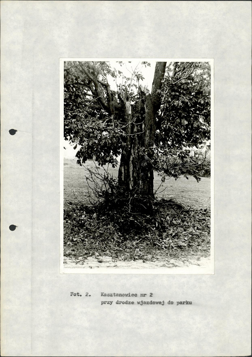 Ewidencja parkowa, skan nr 27