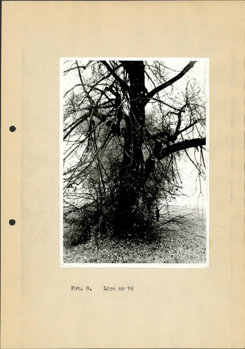 Ewidencja parkowa, skan nr 34