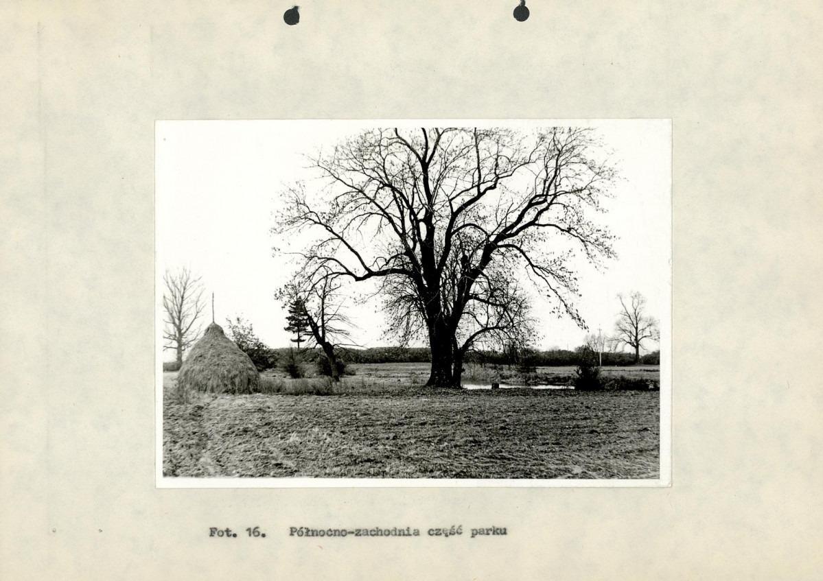 Ewidencja parkowa, skan nr 41