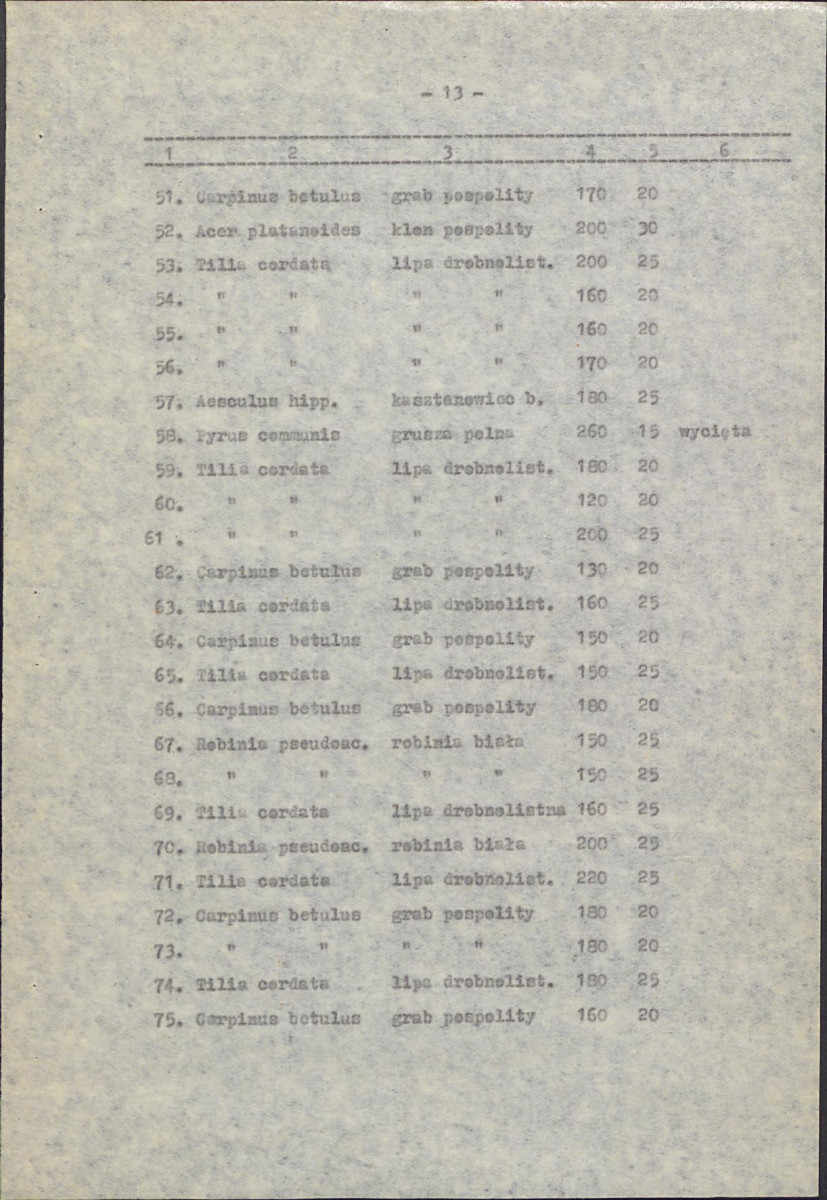 Ewidencja parkowa, skan nr 19