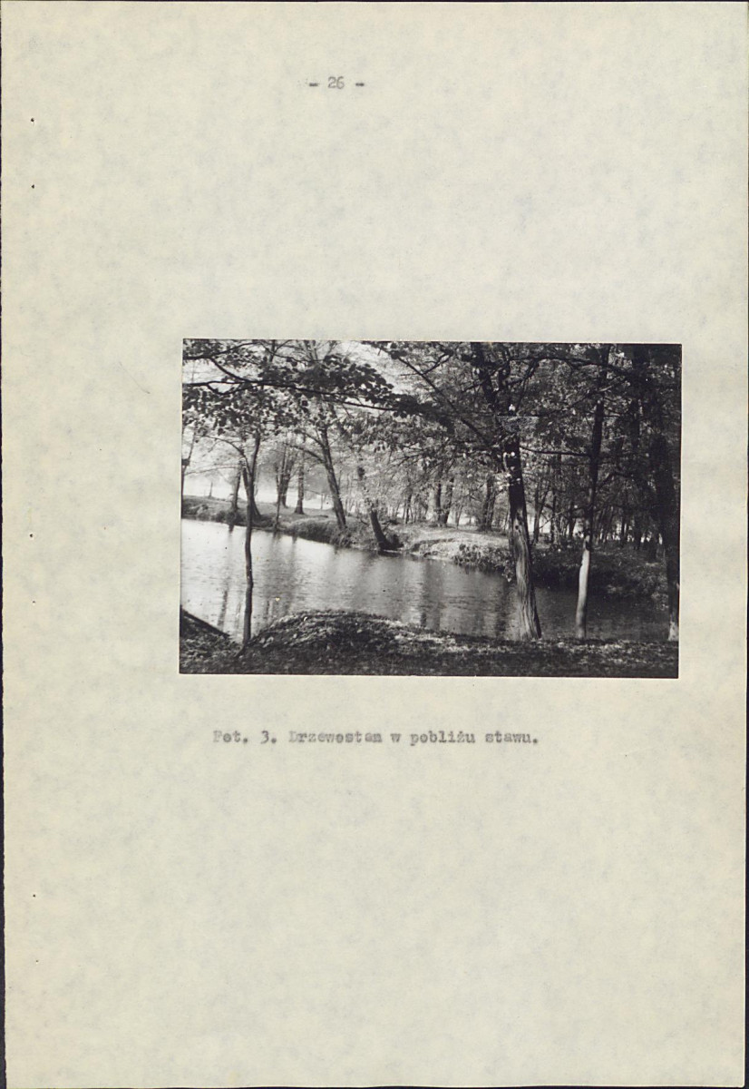 Ewidencja parkowa, skan nr 32