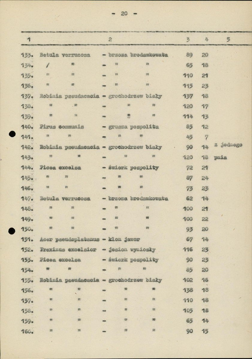 Ewidencja parkowa, skan nr 24