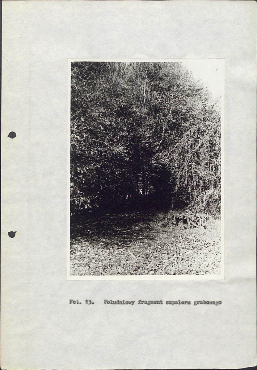 Ewidencja parkowa, skan nr 41