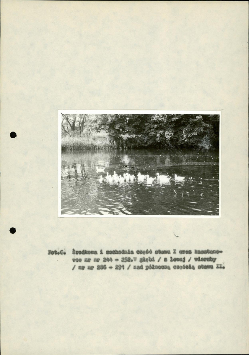 Ewidencja parkowa, skan nr 43