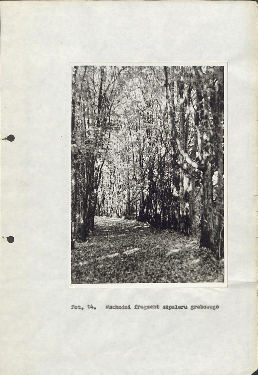 Ewidencja parkowa, skan nr 42