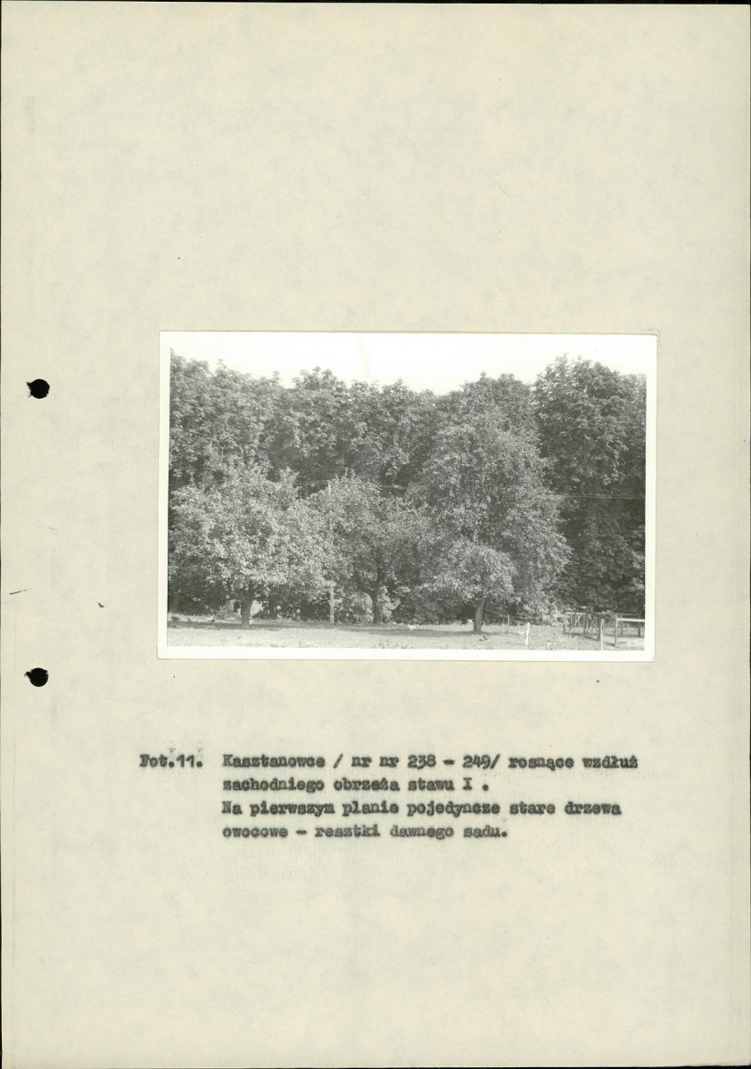 Ewidencja parkowa, skan nr 48