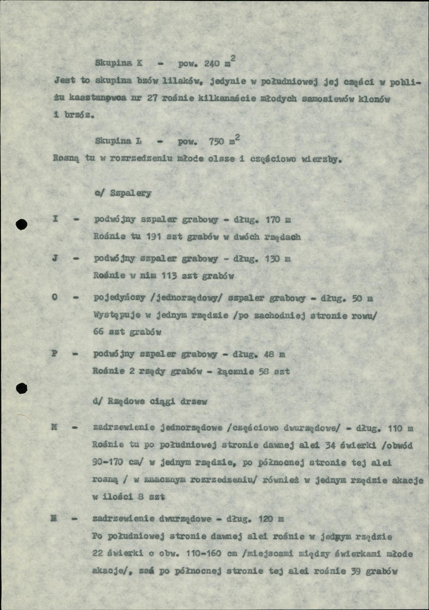 Ewidencja parkowa, skan nr 20