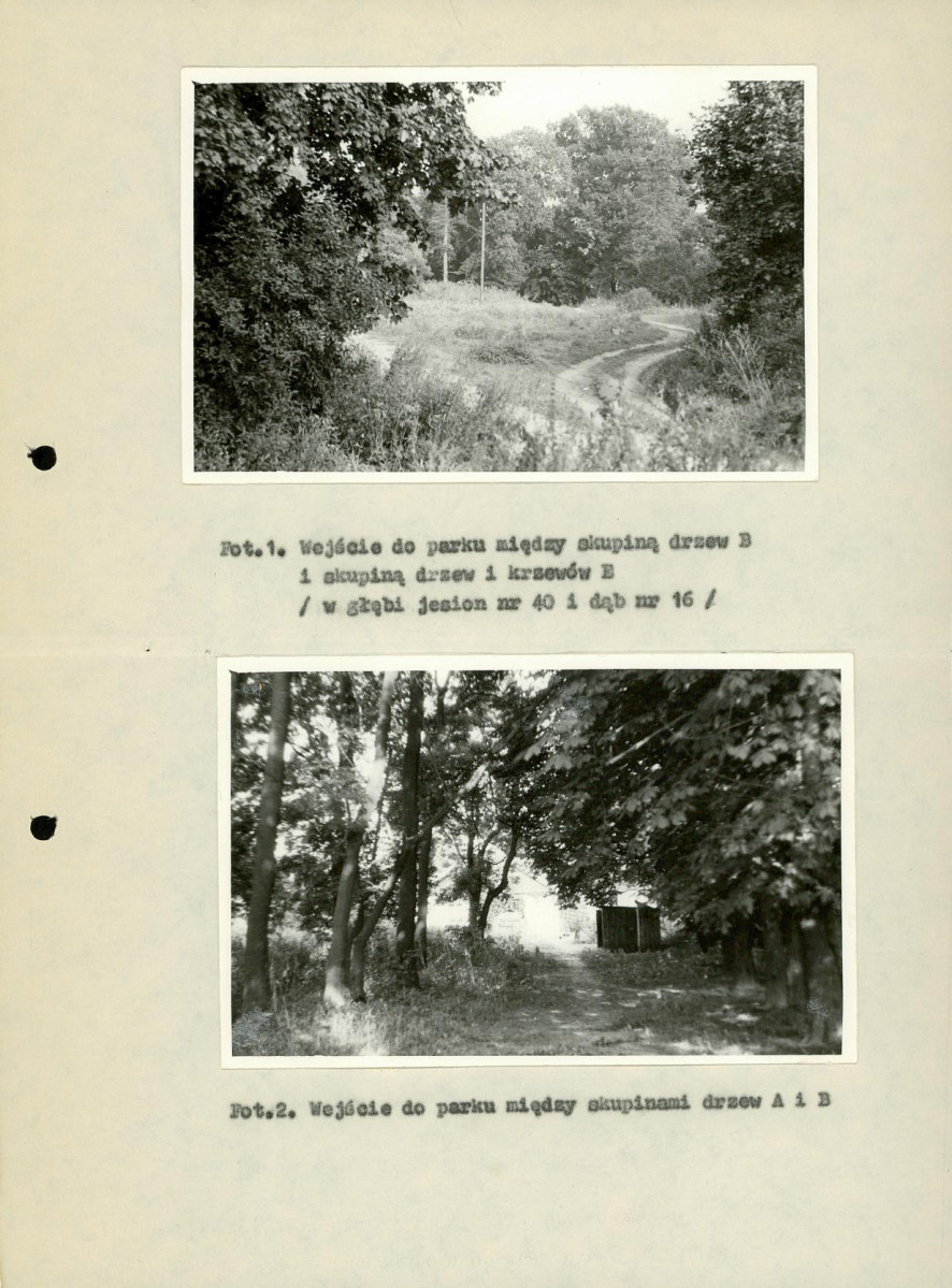 Ewidencja parkowa, skan nr 28