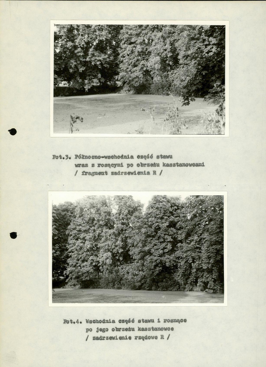 Ewidencja parkowa, skan nr 29