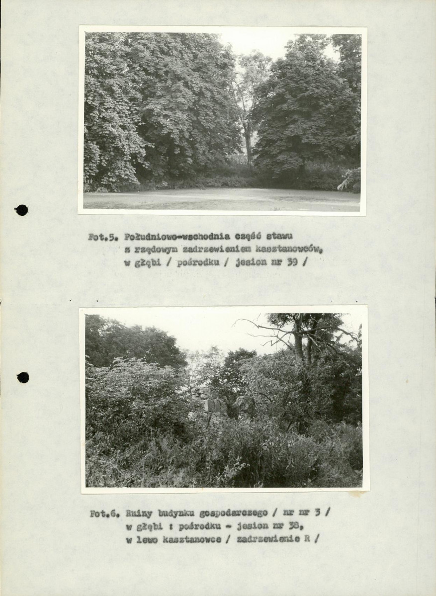 Ewidencja parkowa, skan nr 30