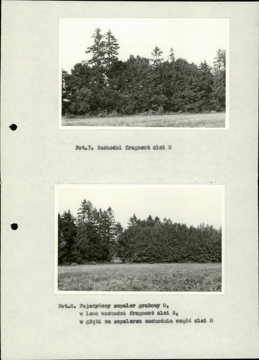 Ewidencja parkowa, skan nr 31